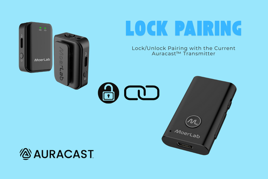 MoerLab Exhibition Solution (channel-locked)