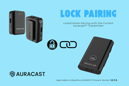 MoerLab Exhibition Solution (channel-locked)