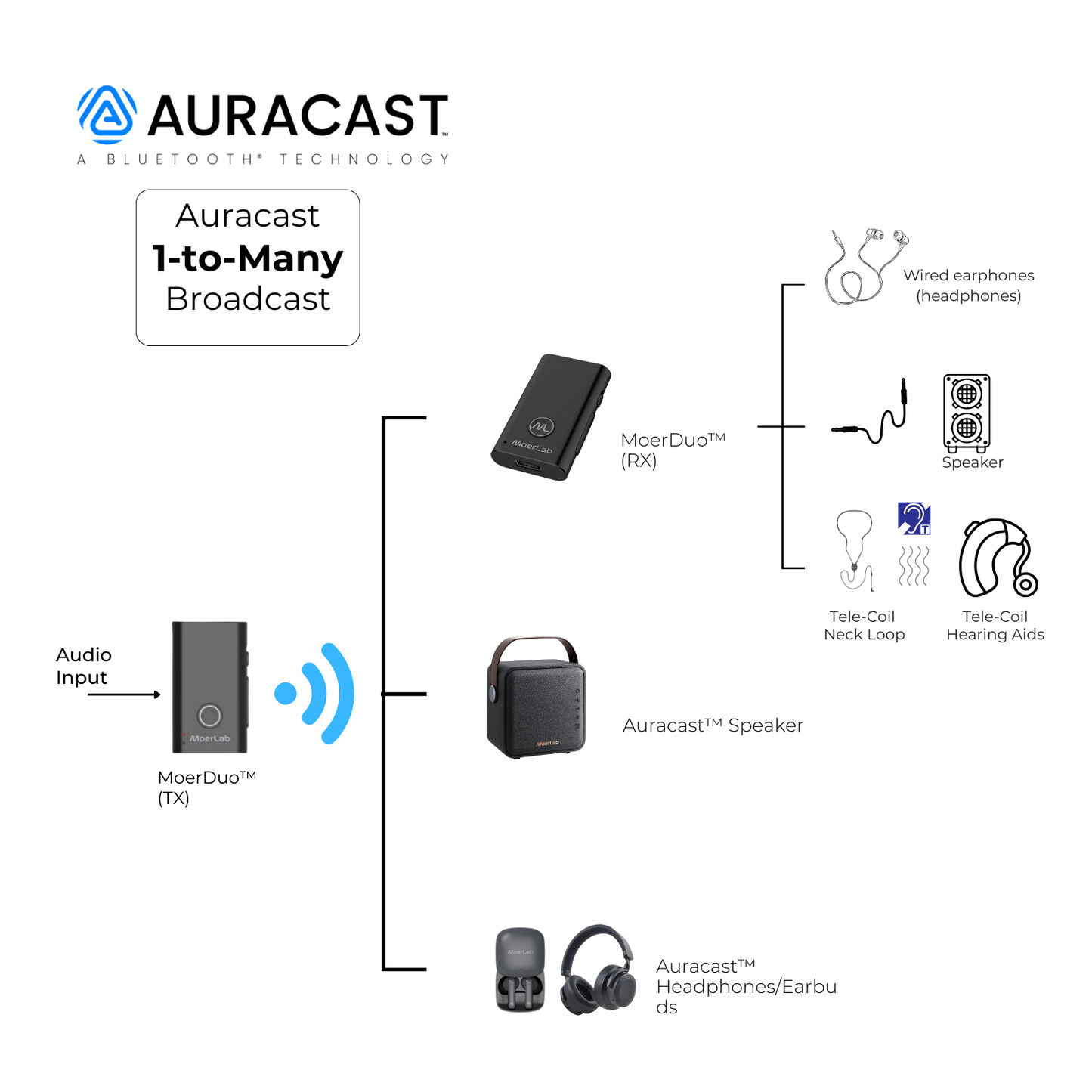 MoerDuo™ Auracast™ Audio Transceiver