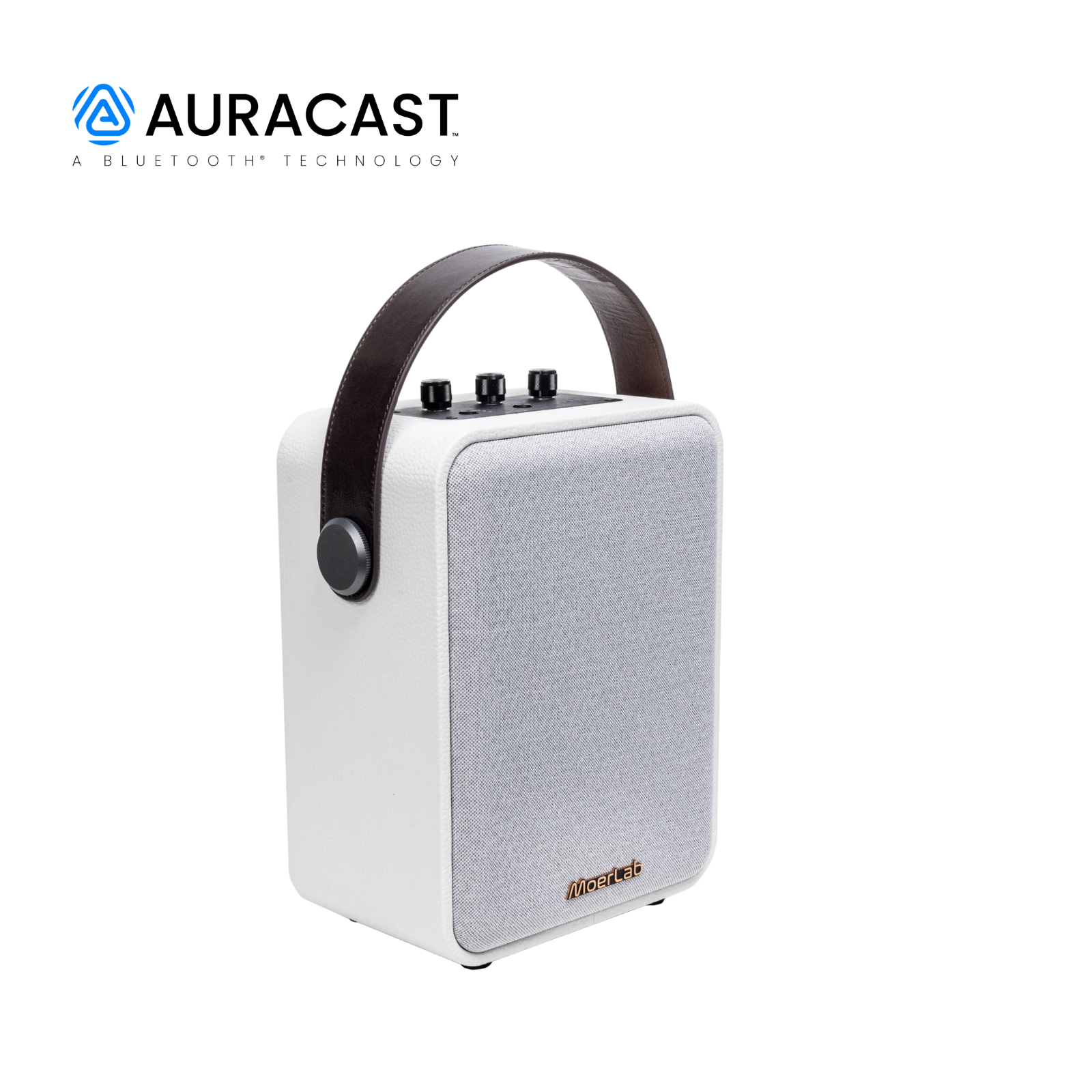 The Show™ Auracast ™ワイヤレス スピーカー – MOOR Technology Co., Ltd.